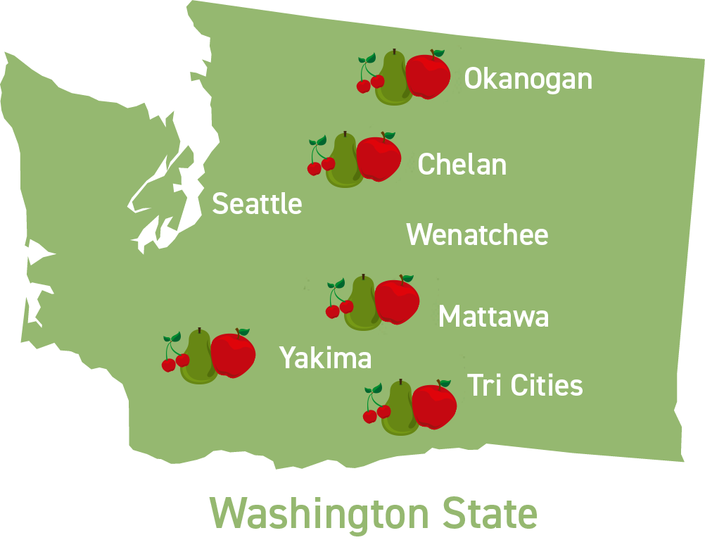 where are apples grown - what are the best apples - honeycrisp, rockit apple, sugarbee apple