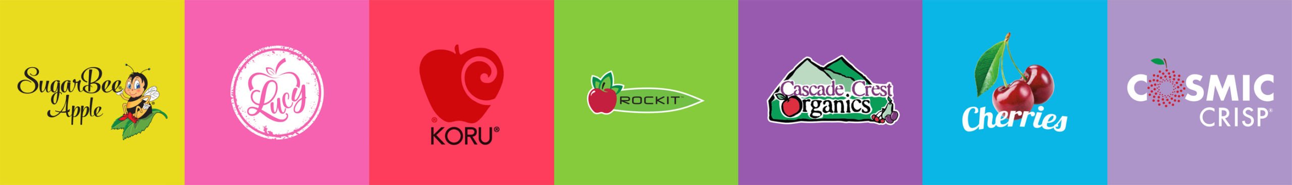 what are the best apple brands? rockit apple, cascade crest organics, honeycrisp apple, sugarbee apple, lucy apple